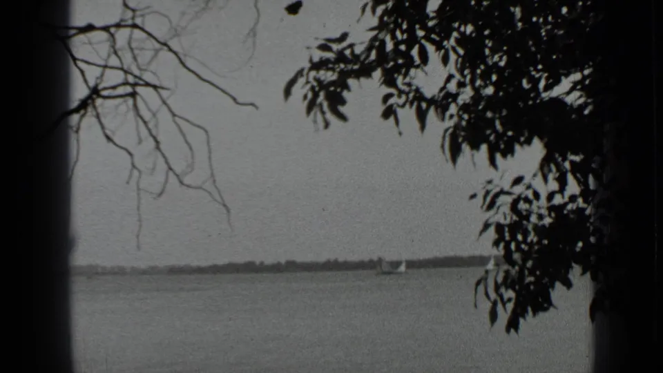 Black-and-white Clear Lake frame with overhanging branches, sailboats on calm water, and a low shoreline in the distance.