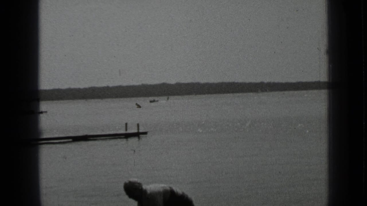 Lake view with a dock, distant boats, shoreline, and partial foreground figure.