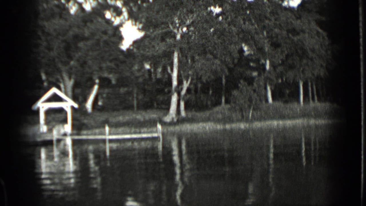 Tree-lined lakeshore with a small covered dock over calm water.