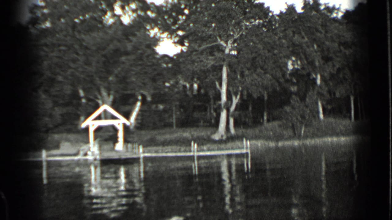Covered dock and narrow pier beside dense shoreline trees.
