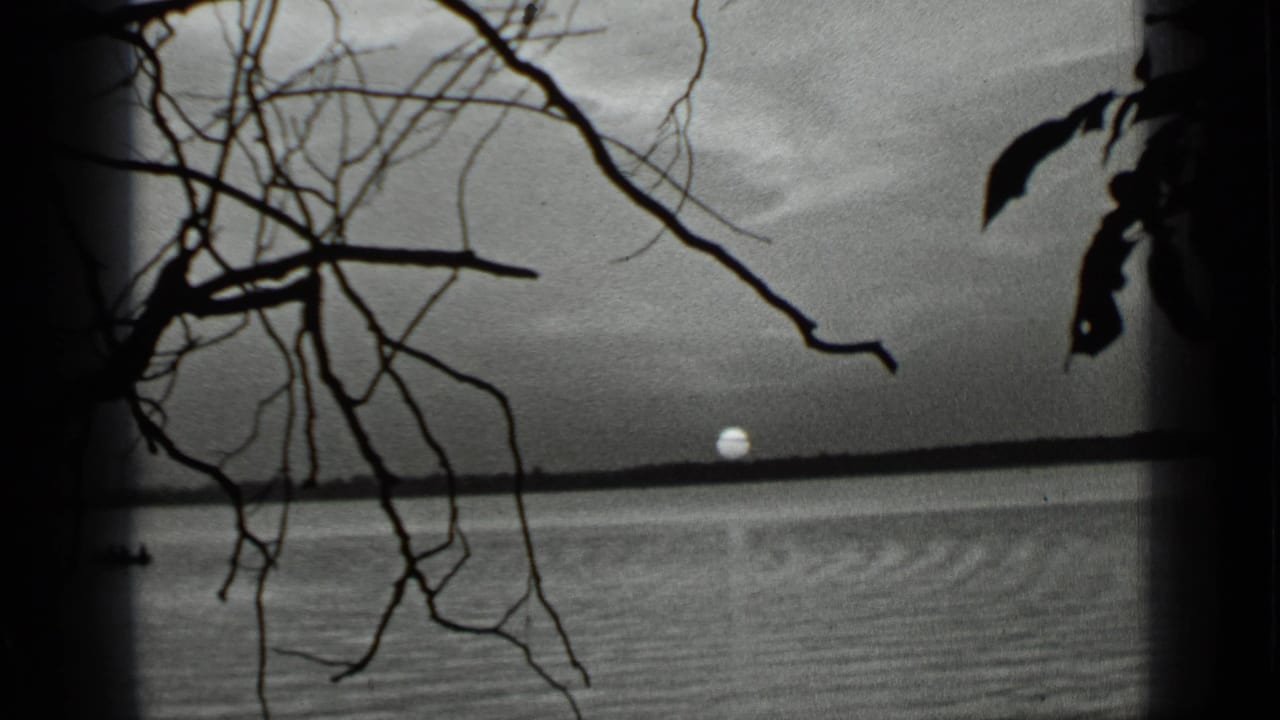 Sunset over a lake framed by dark tree branches and film edges.