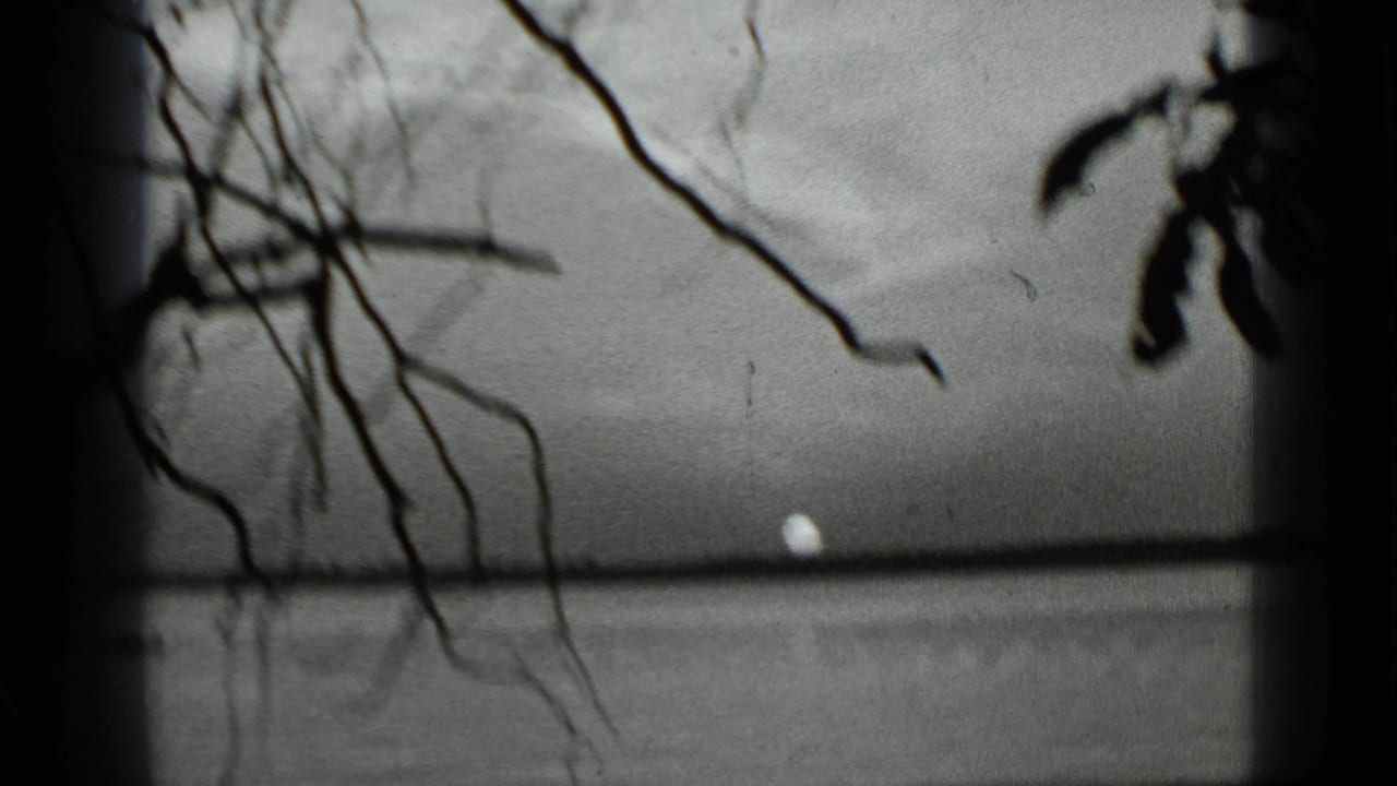 Clear Lake sunset in 1939, with a small bright sun near the horizon and soft branches silhouetted across the 8mm frame.