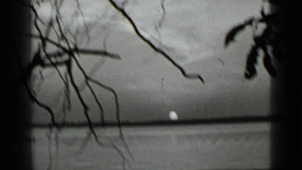 Clear Lake sunset in 1939, with a small bright sun near the horizon and soft branches silhouetted across the 8mm frame.