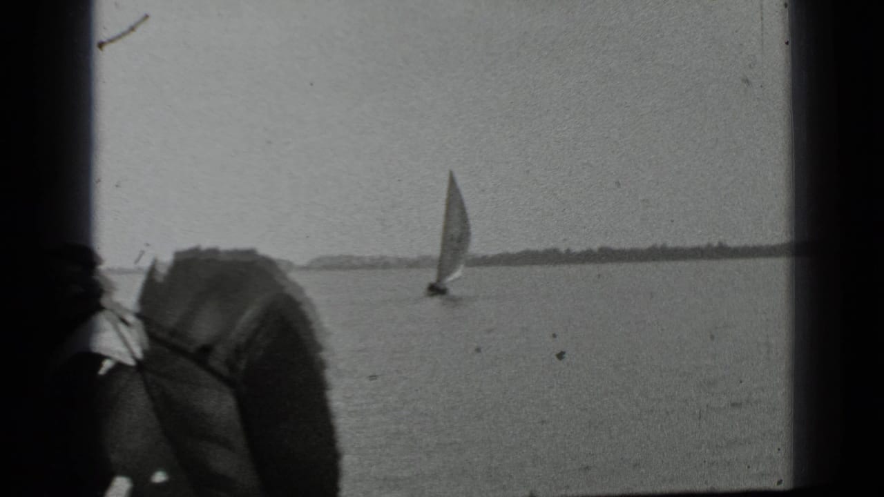 Small sailboat on a lake partly obscured by a dark foreground leaf or obstruction.