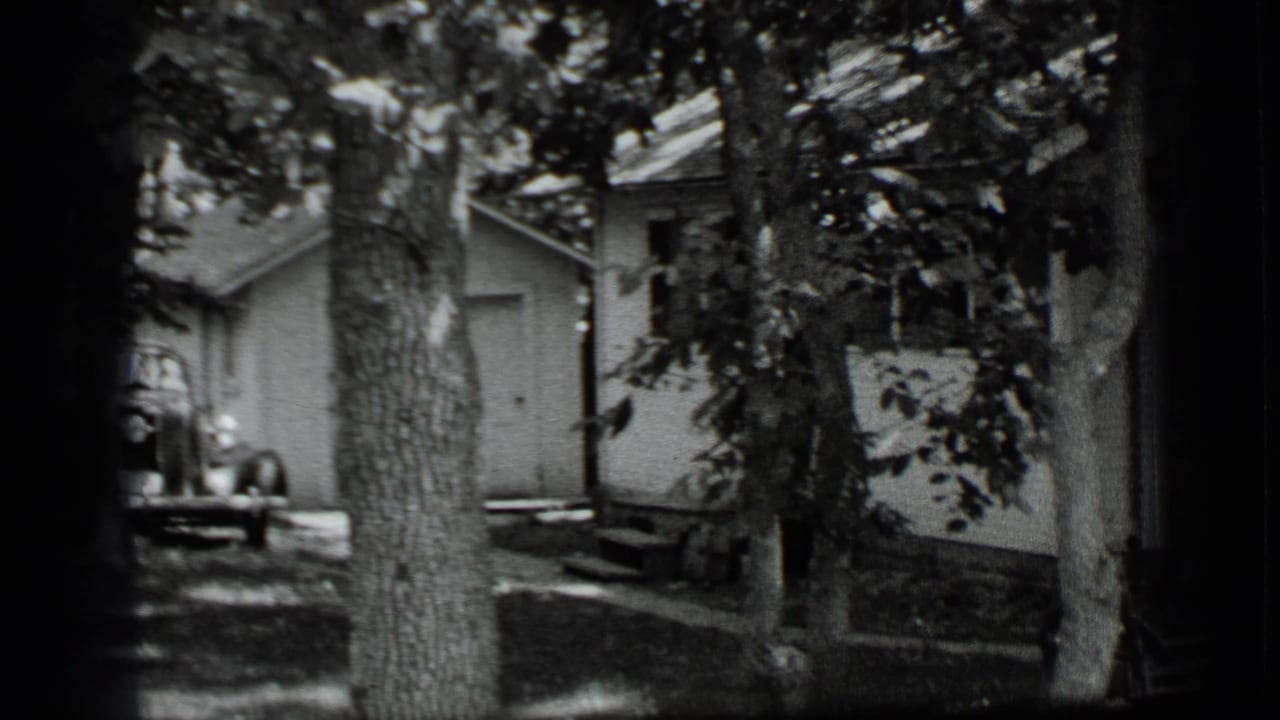White house partly hidden by trees, with a small outbuilding and shaded yard.