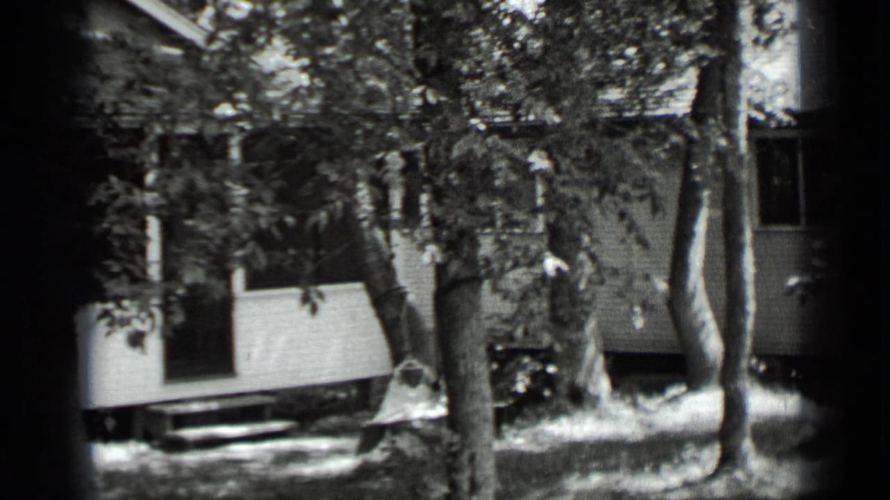 White wooden house partly hidden by trees and dark film edge.