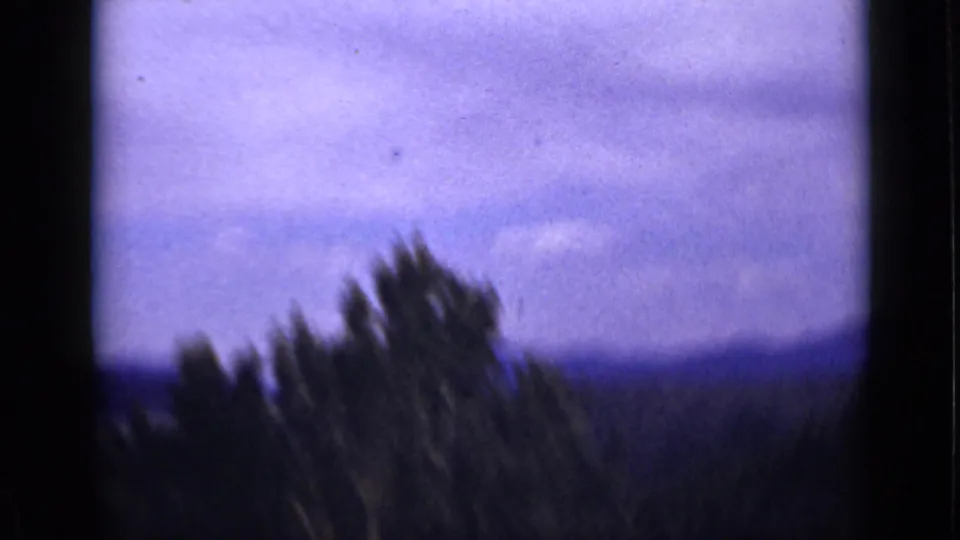 Handheld 8mm view of evergreen trees and distant Colorado mountain ridges beneath a purple-tinged cloudy sky.