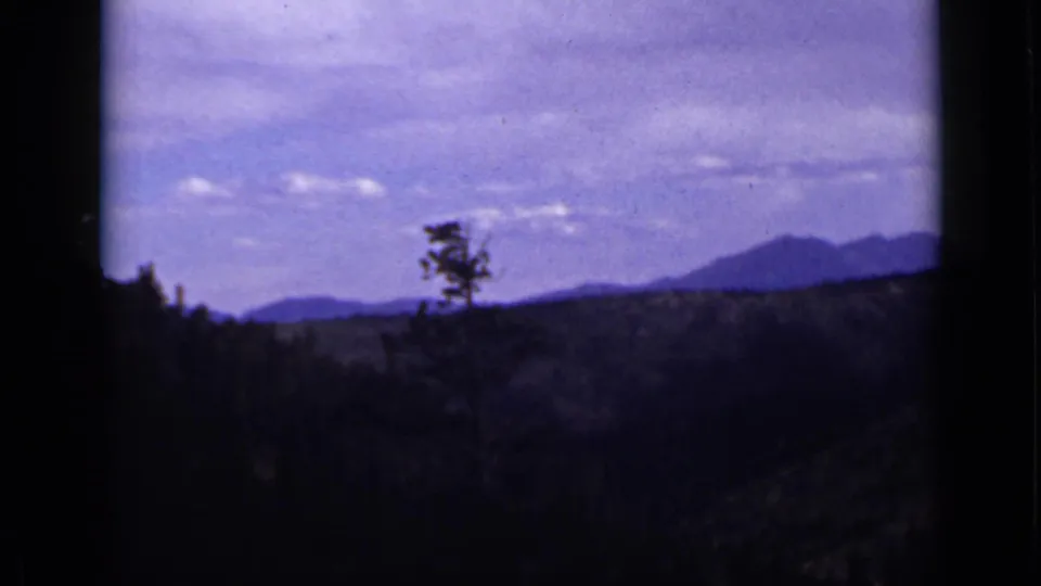 A lone tree stands in front of distant Colorado mountain ridges, framed by dark foreground trees and a soft cloudy sky.