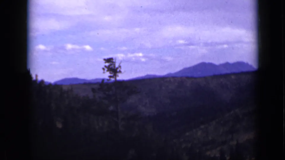 1939 Colorado home-movie view of a forested valley, lone pine, and mountain range under a soft blue-purple sky.