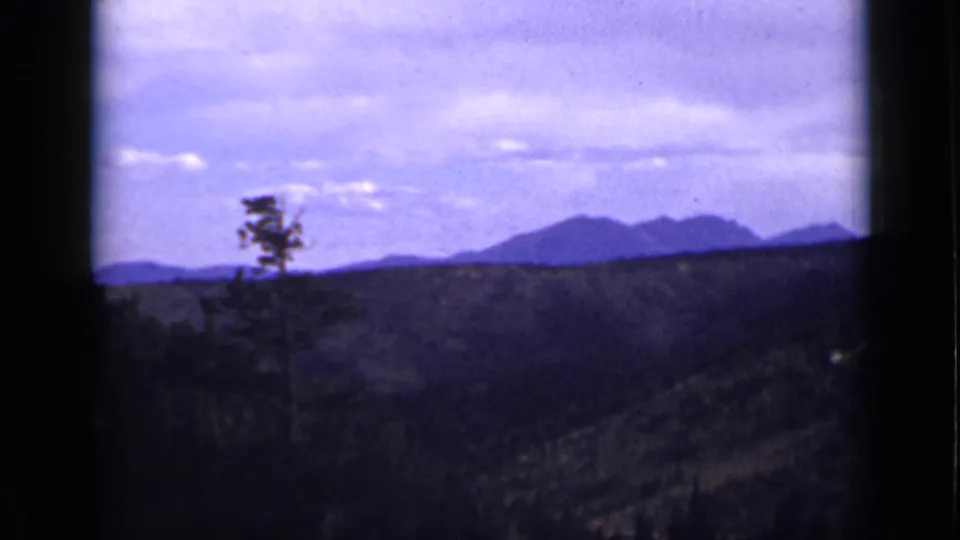 1939 Colorado 8mm landscape with a lone pine in the foreground, wooded slopes, and distant mountain peaks.