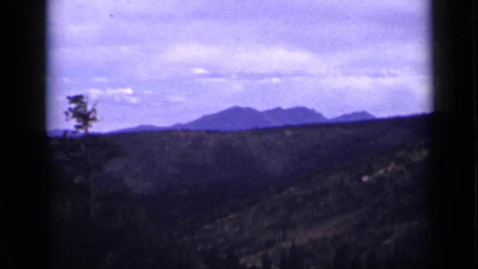 1939 Colorado 8mm frame showing forested hills, distant mountain ridges, low clouds, and a tree along the left edge.