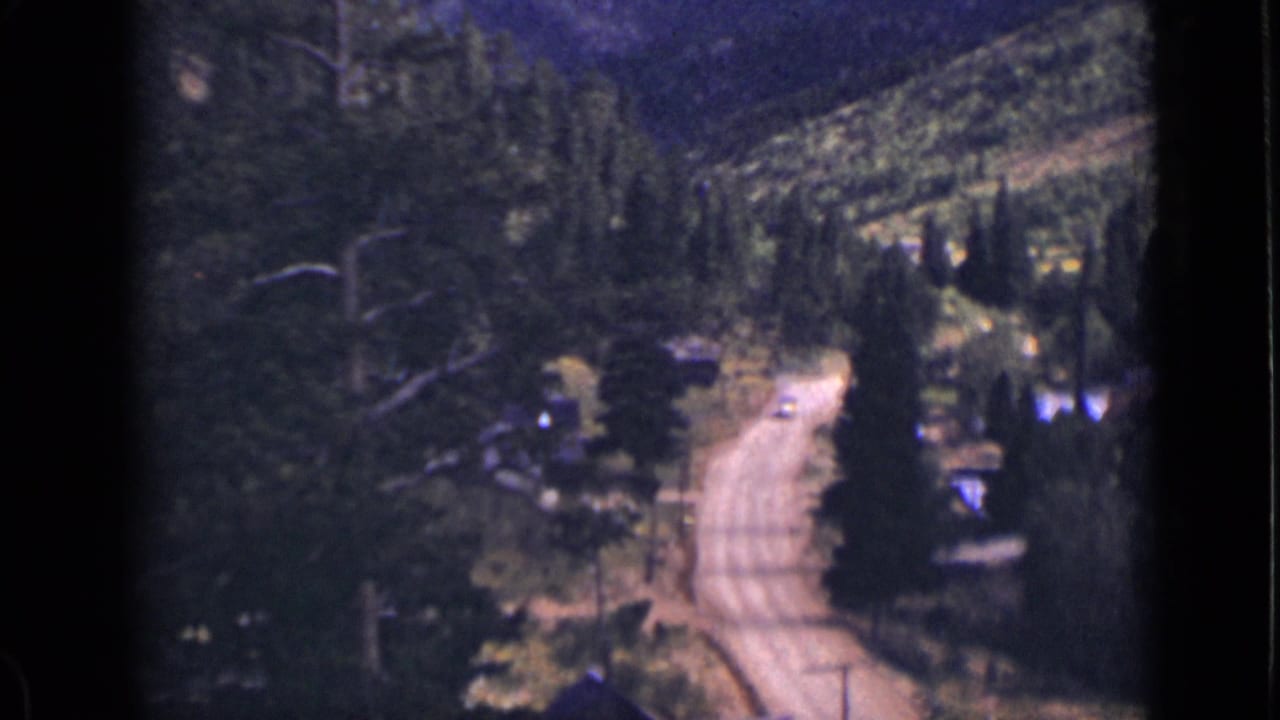 Winding dirt road through a pine forest with hillside and small structures nearby.