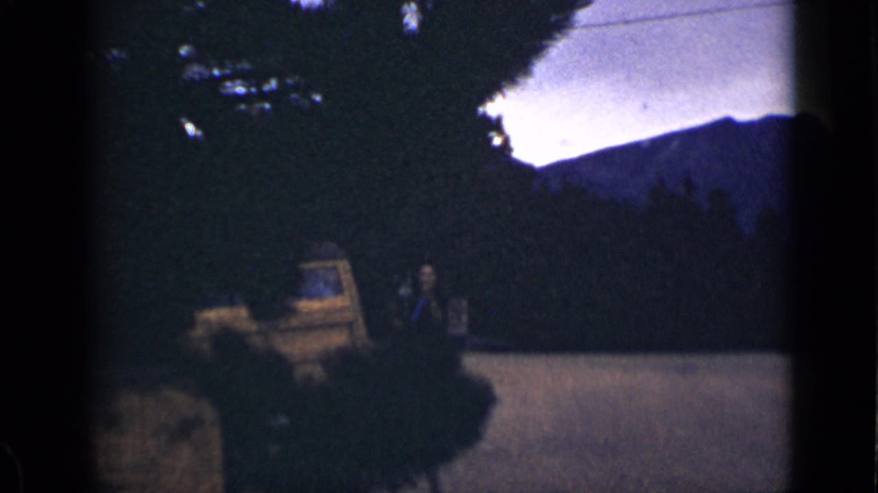 A person stands beside a yellow vehicle with mountains and trees in the background.