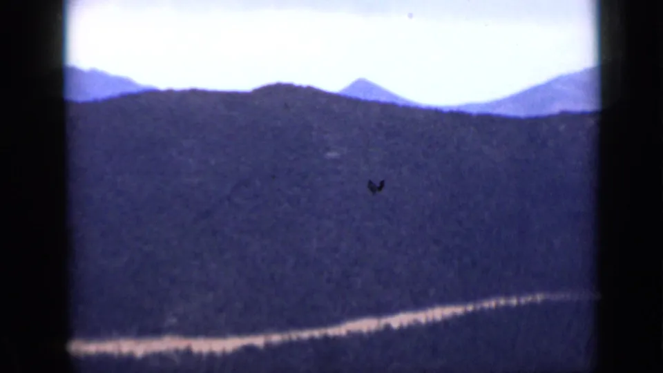 1939 Colorado 8mm view of dark forested slopes, distant rounded peaks, and a light line crossing the lower mountainside.