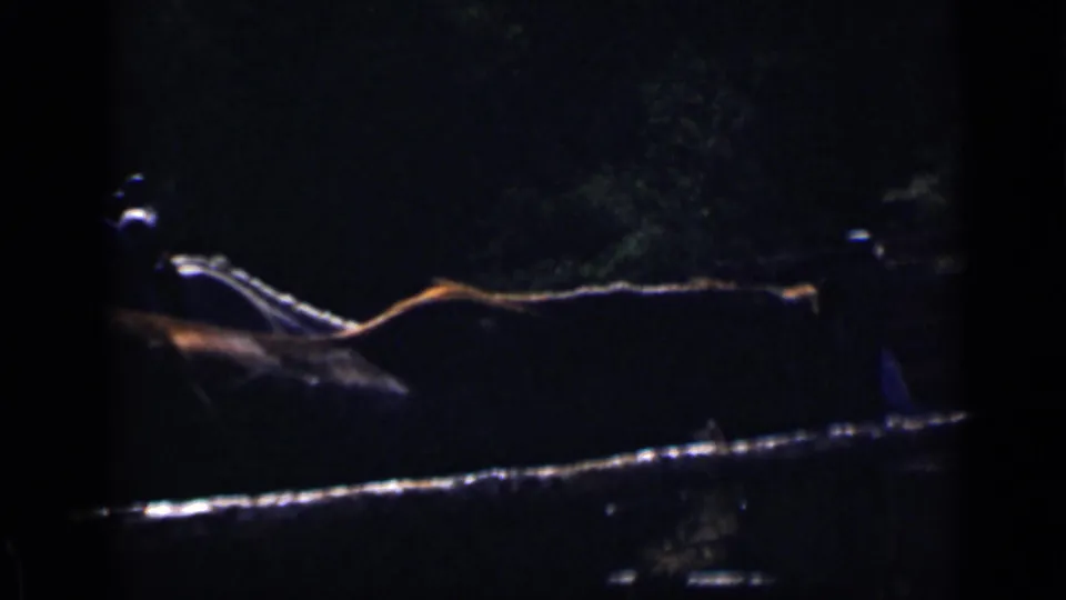 Dim 8mm frame in Colorado showing horses and partially visible riders near a rail against a wooded background.