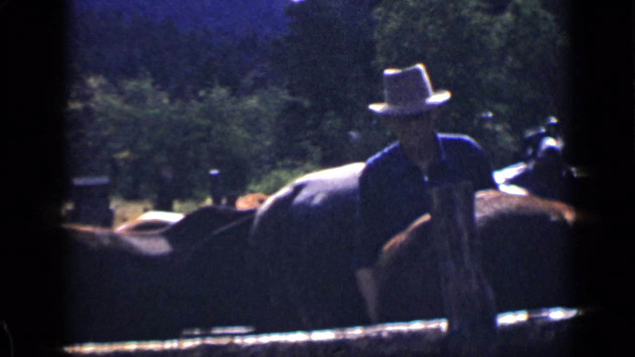 Man in a wide-brimmed hat stands among horses near a corral rail.