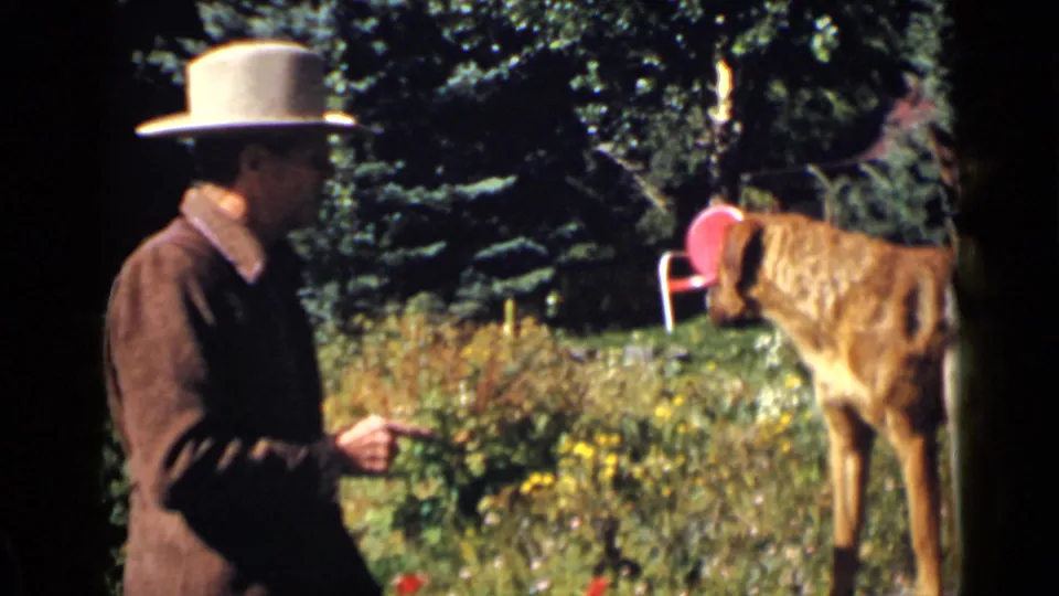 A man in a light-colored hat and brown jacket moves through the 1939 Colorado garden beside a brown dog near flowers and evergreens.