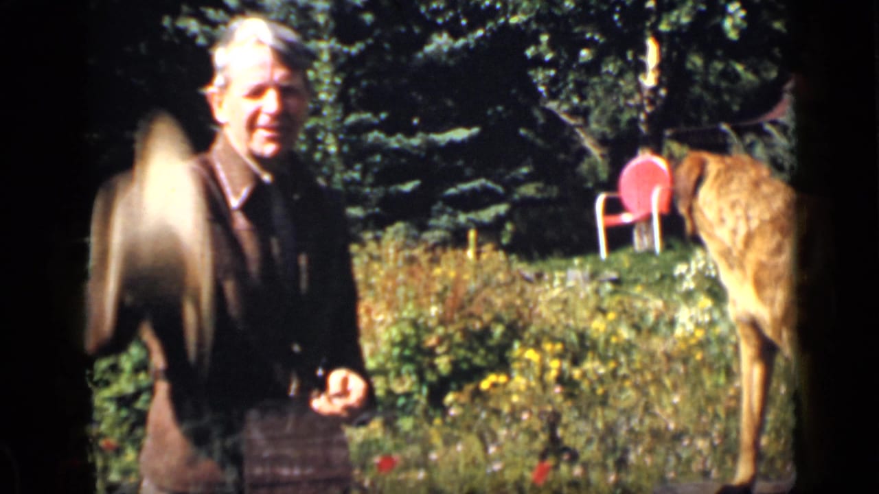 Adult man standing outdoors near a deer-like figure and painted garden ornament.
