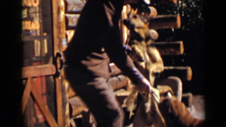 1939 Colorado home-movie frame of an adult man partly visible while interacting with a dog outside a log cabin doorway.