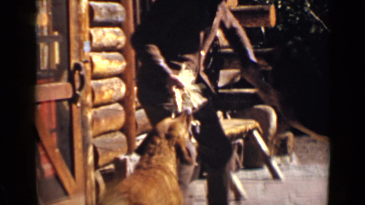 Brown dog jumps near a man in a cowboy hat outside a log cabin.