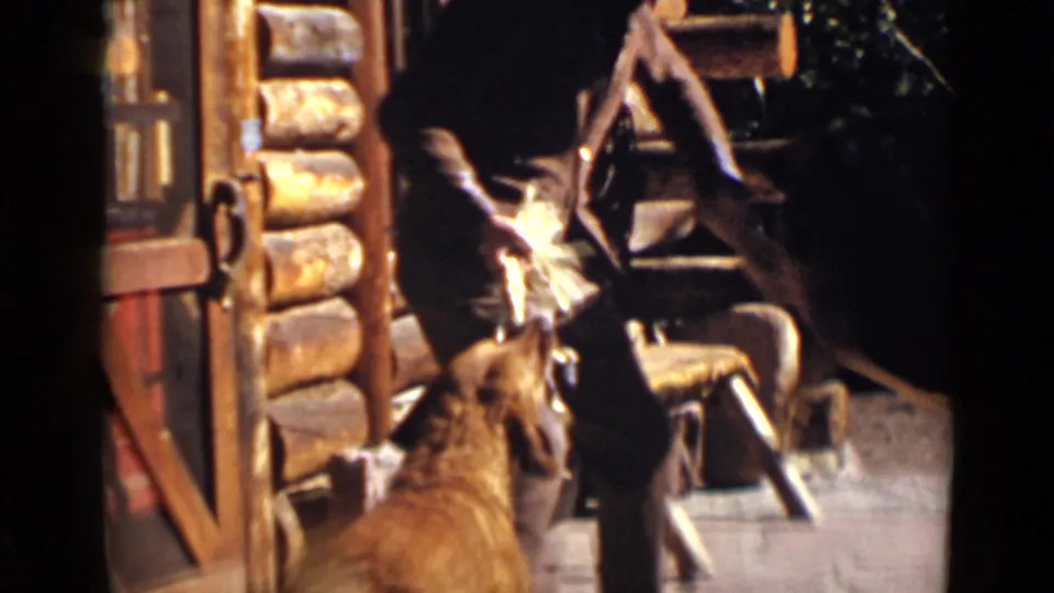 In 1939 Colorado home-movie footage, a brown dog reaches toward a man holding a yellow object beside a rustic log cabin.