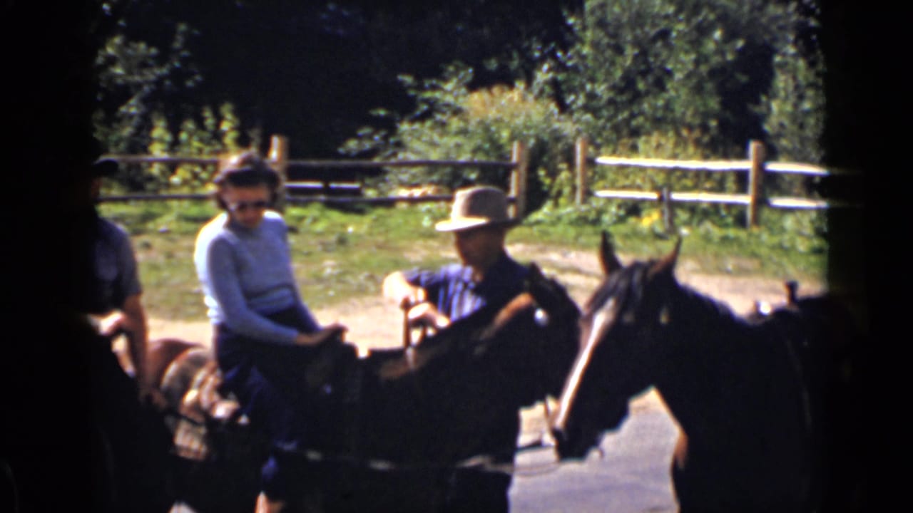 Mounted riders on dark horses near a wooden fence and trees.