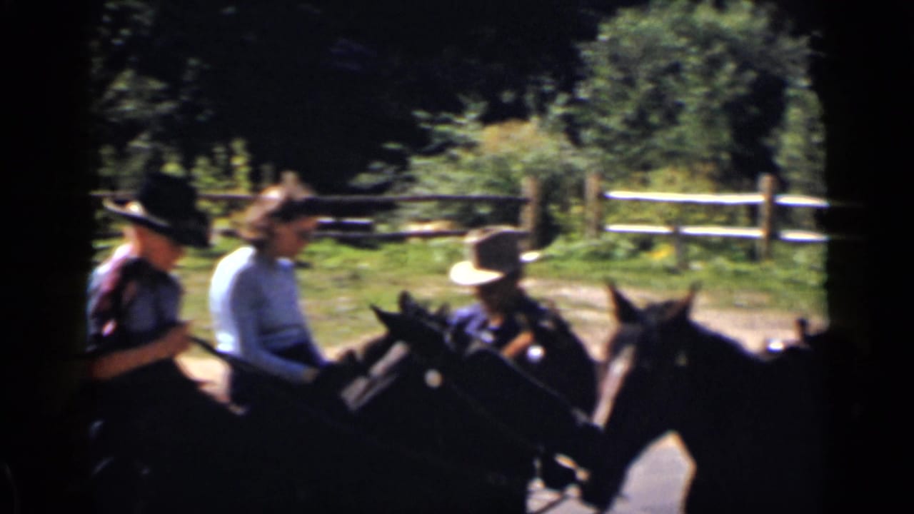 Three mounted riders on dark horses near a wooden fence and trees.