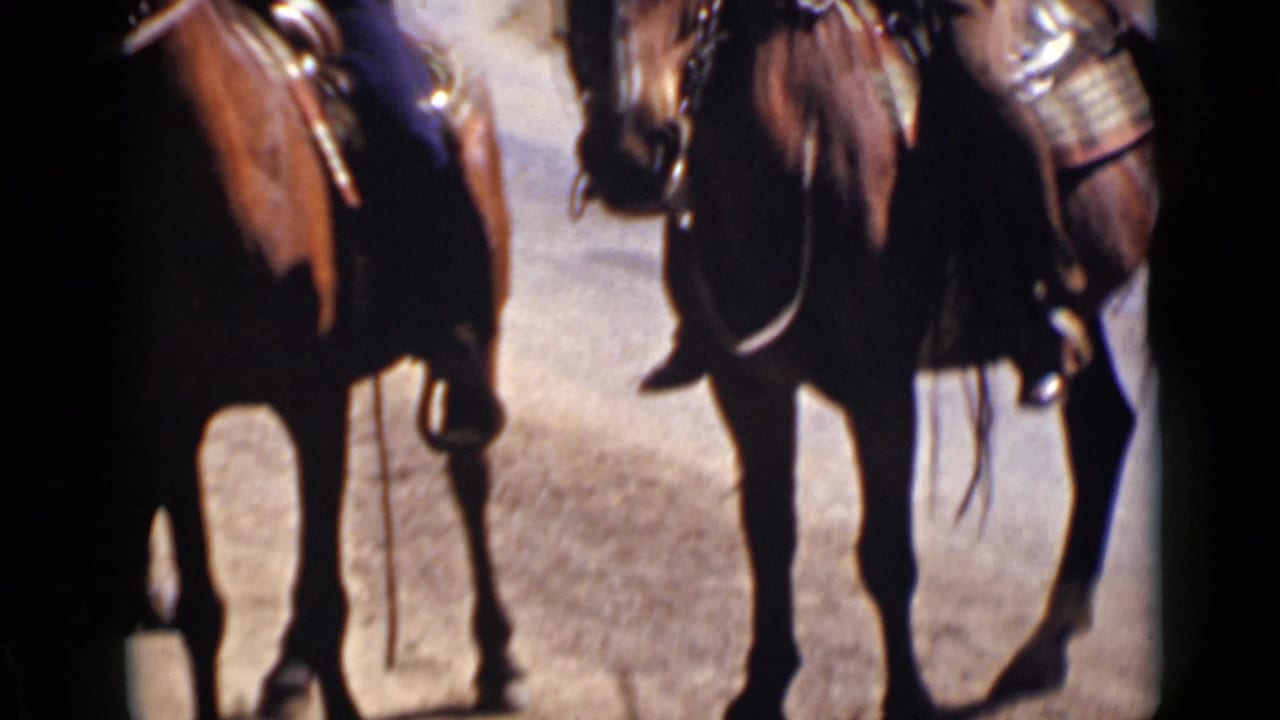 Close view of riders on horseback passing along a sunlit rural road.