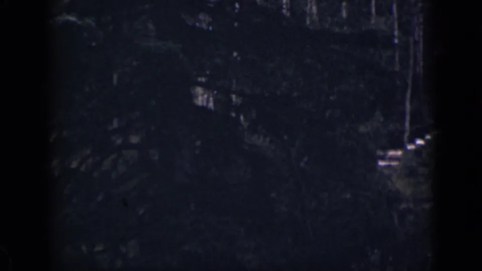 Dark 1939 Colorado 8mm frame showing dense woods, vertical tree trunks, deep shadow, and a small pale object near the lower right path area.