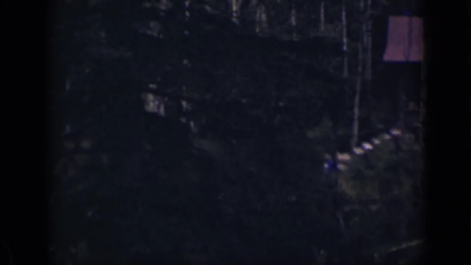 1939 Colorado 8mm frame showing a dark wooded area with tree trunks, undergrowth, and a partial vertical structure or object at the right edge.