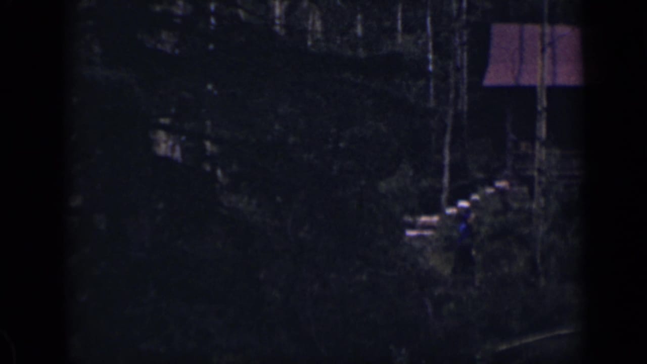 Dark wooded cabin with red roof partly visible behind trees.