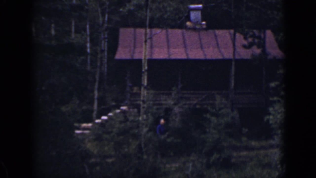 Rustic cabin among trees with a small person standing nearby.