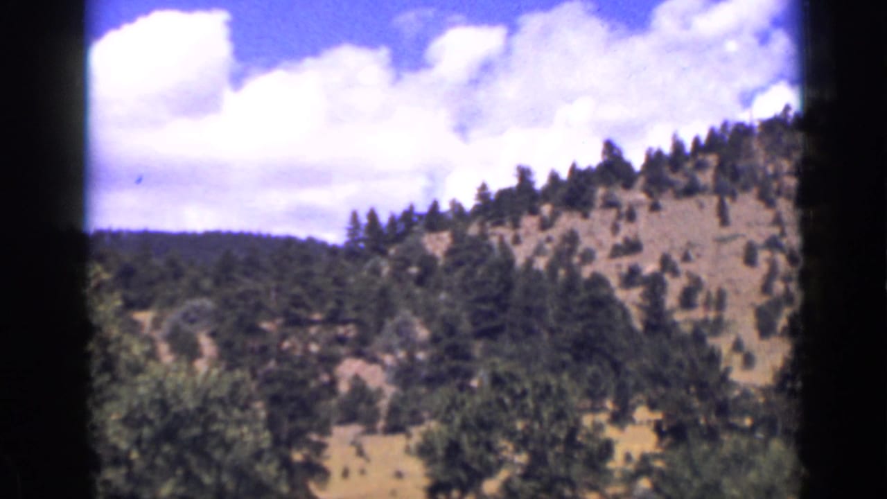 Forested Colorado hillside under a bright blue sky with white clouds.