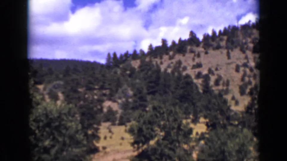 1939 Colorado home-movie view of a wooded mountain slope with dry clearings, foreground foliage, and a bright blue sky.