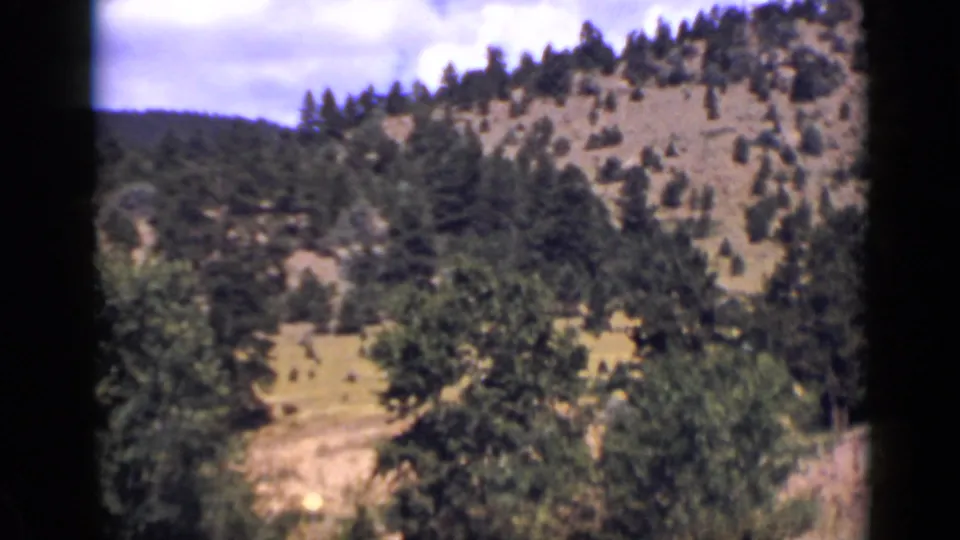 1939 Colorado 8mm frame showing a forested hillside, pale exposed ground, foreground trees, and a clouded blue sky.