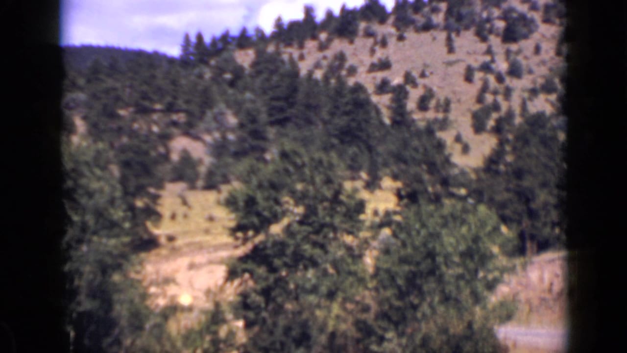 Forested Colorado hillside with a curved road and stone wall partly visible.
