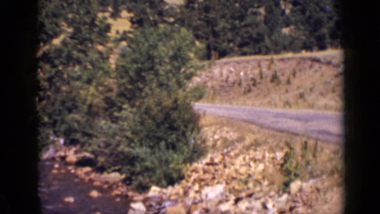 Curving roadside beside trees and brush with a rocky stream at the left edge.
