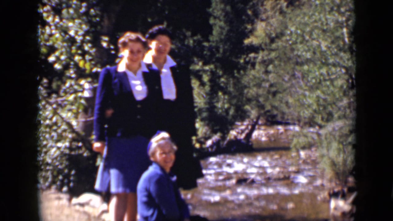 Three women by a sunlit creek in a wooded setting.