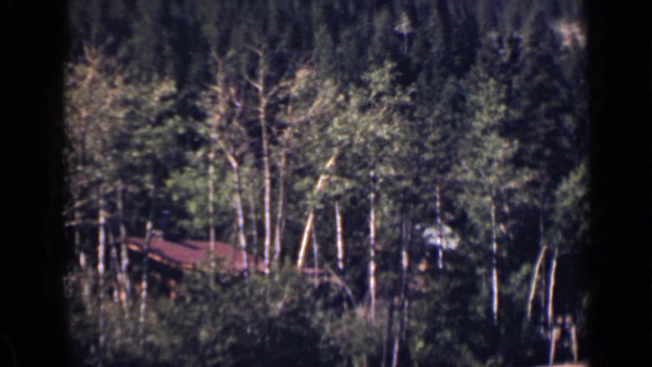 1939 Colorado 8mm frame showing dense trees on a hillside with a small red-roofed farm structure partly obscured.