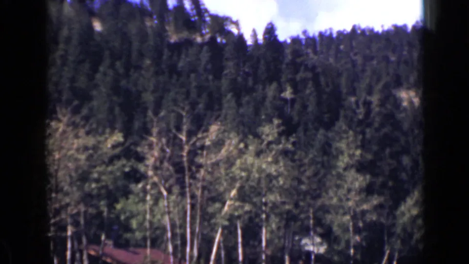 1939 Colorado home-movie view of a forested hillside with a small rural structure glimpsed through trees.