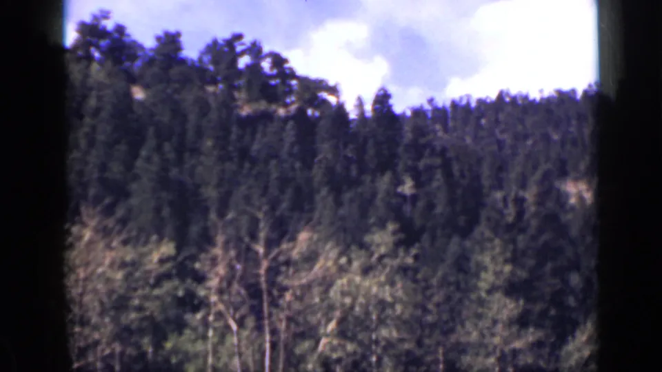 1939 Colorado 8mm frame looking upward across dense wooded hills toward a bright, partly cloudy sky.
