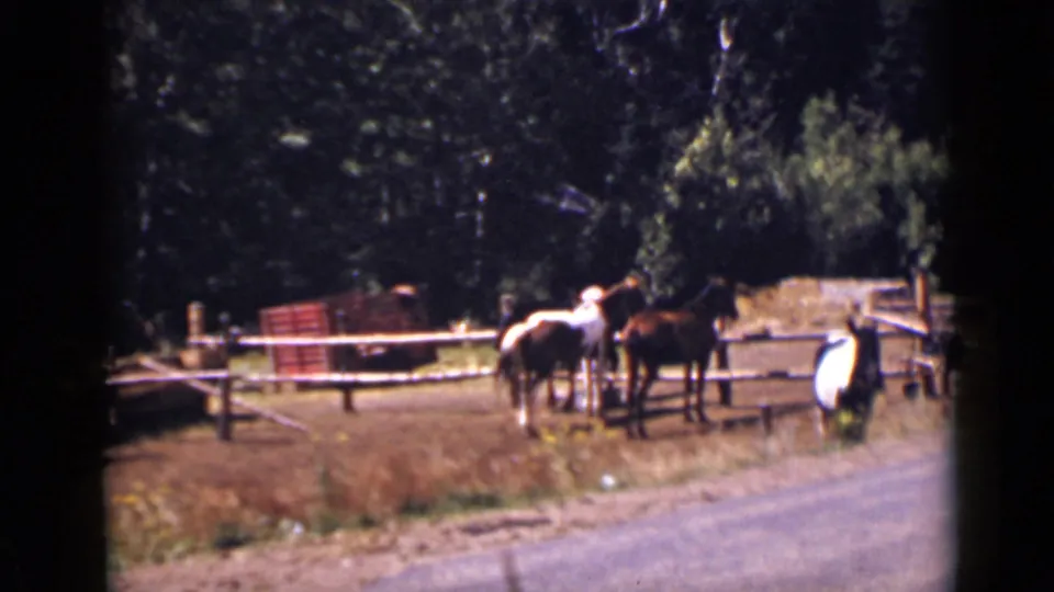 1939 Colorado home-movie frame showing horses in a wooden corral beside grass, fencing, and a red wagon.