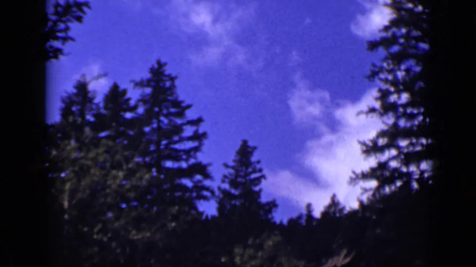 Upward 1939 Colorado home-movie view of dark pine treetops framing a saturated blue sky and scattered white clouds.