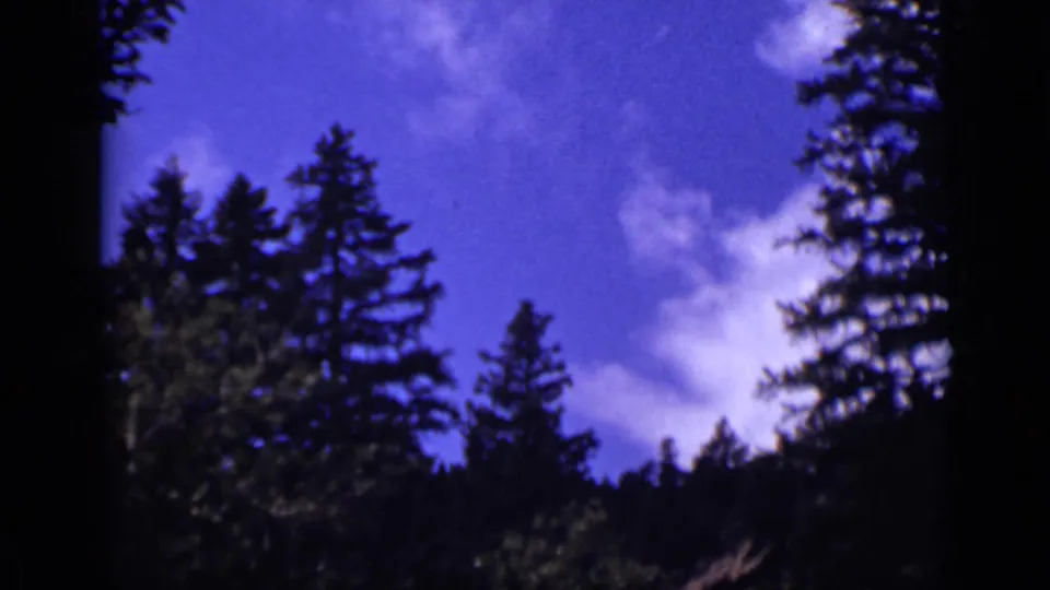 Colorado 8mm frame looking upward at conifer treetops, dark forest edges, deep blue sky, and soft white clouds.