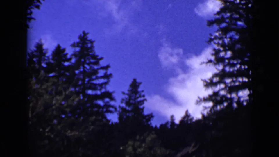 Final 1939 Colorado frame with silhouetted conifers around a vivid blue sky and bright clouds over the mountain forest.