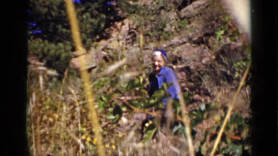 The woman remains near tall stalks and leafy plants in a rural Colorado clearing, with rocks and trees visible behind her.