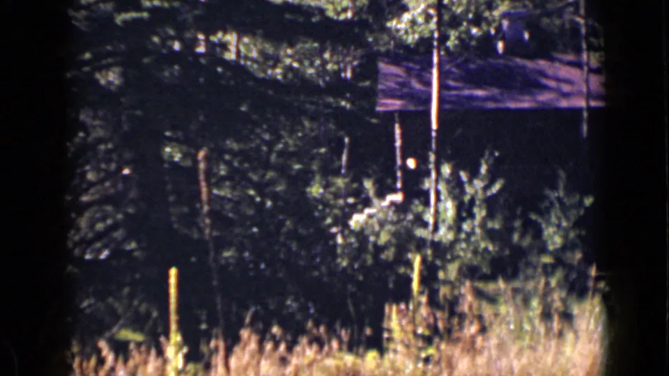 1939 Colorado home-movie frame with a rustic cabin set back behind evergreen branches, brush, and sunlit dry grass.