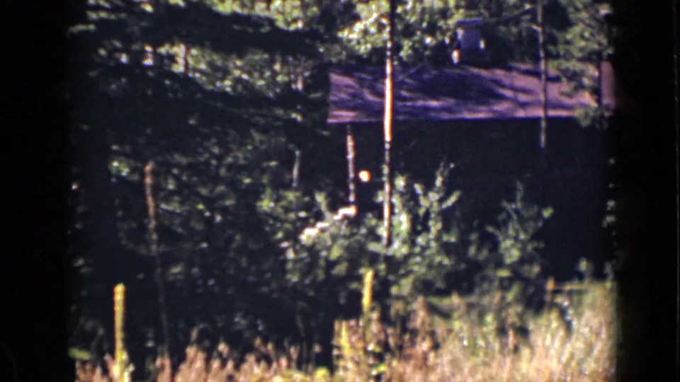 1939 Colorado 8mm frame showing the rustic cabin more closely, with tree branches, posts, shrubs, and tall grass in front.