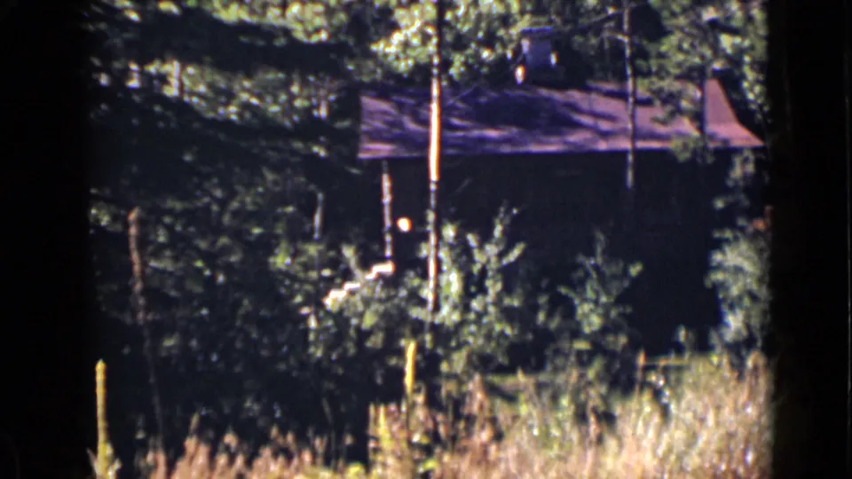 1939 Colorado home-movie frame of a secluded rustic cabin behind evergreen trees, shrubs, and tall dry grass.