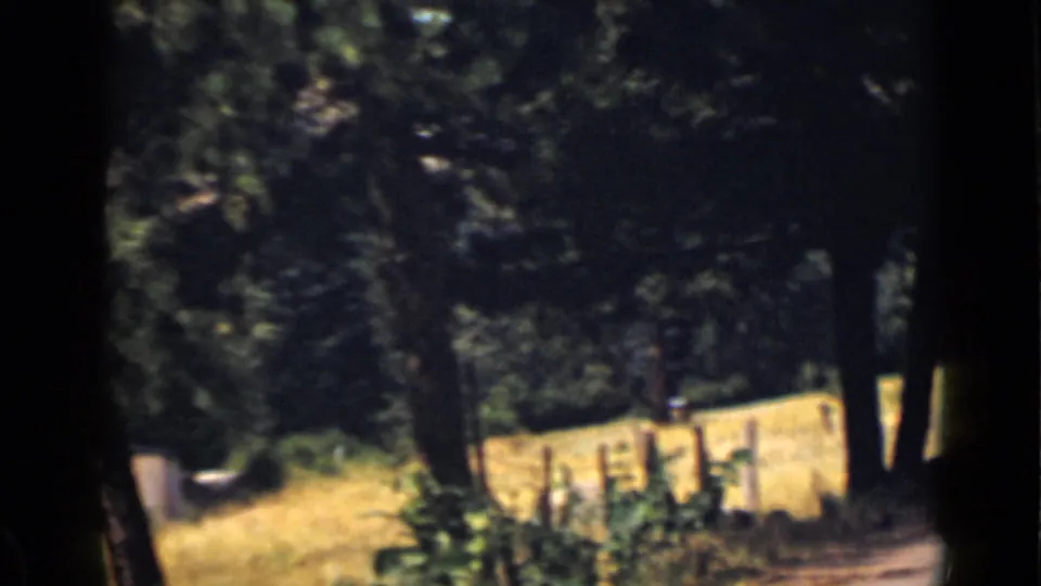 The final 1939 Colorado frame shows the wooded outdoor setting after the people have passed, with a wooden fence and sunlit ground.